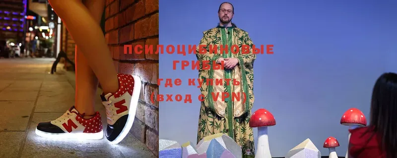 Псилоцибиновые грибы MAGIC MUSHROOMS  Новоалександровск 